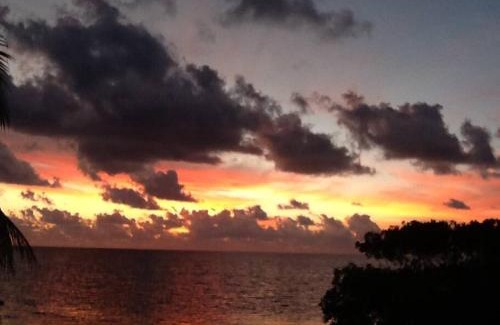 Caye Caulker House | Coconut Grove oceanfront cabin