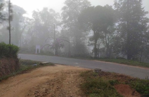Somvarpet Other | COFFEE NEST COORG offers spacious homestay accommodations with private bathrooms