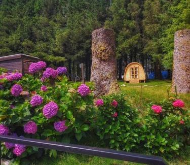 St. Neot Hotel | Colliford Lake Hotel & Campsite