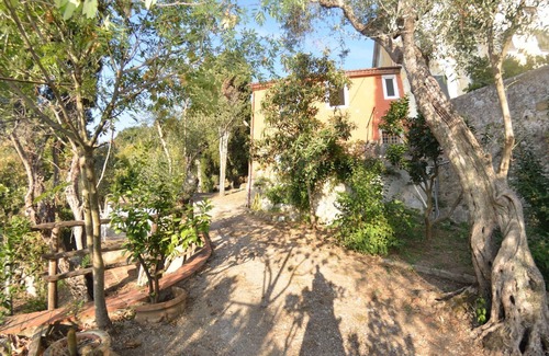 Massarosa Other | Collina Lagomare - Massarosa ,Tuscany