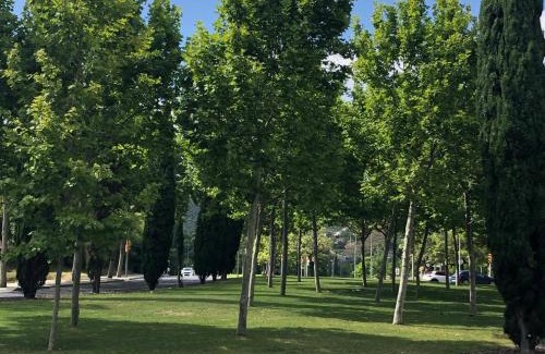 Horta Hotel | Colors