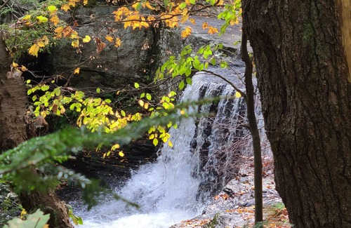 Dingmans Ferry House | Come and enjoy 4 seasons in our home