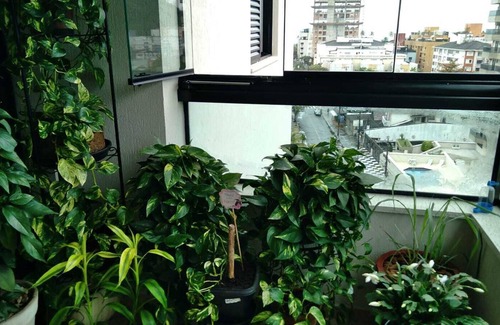 Vila Julia Apartment | Come relax in the corner of peace