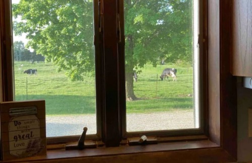 Liberty Mills House | Come to the country and forget your worries in this newly remodeled farmhouse.