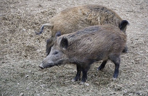 Rotacker House | Come to this house to stay for holidays