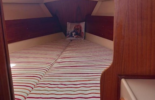Frymburk Boat Rental | Cometino 800