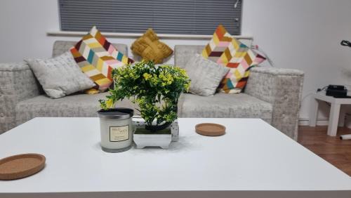 Dudden Hill Apartment | Comfort at Enchanted Dwellings