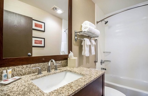 Ottawa Hotel | Comfort Inn Ottawa Starved Rock Area