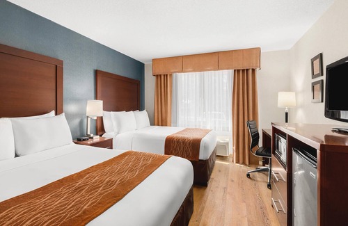 Downtown Vancouver Hotel | Comfort Inn & Suites Vancouver Downtown City Center