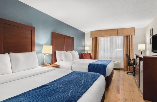 Downtown Vancouver Hotel | Comfort Inn & Suites Vancouver Downtown City Center