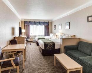 Barrett Hotel | Comfort Suites Kingwood Humble Houston IAH Airport