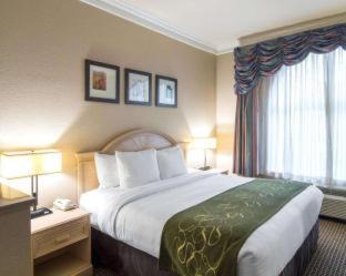 Barrett Hotel | Comfort Suites Kingwood Humble Houston IAH Airport