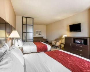 Macon Hotel | Comfort Suites Macon Northwest