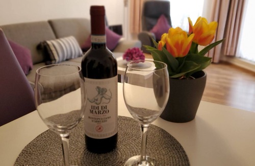 Bad Kreuznach Apartment | Comfortable 2-room apartment in the spa area with balcony, elevator, WLAN, TV