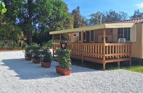 Viareggio Ski Chalet | Comfortable campsite-chalet G12 Tuscany near sea