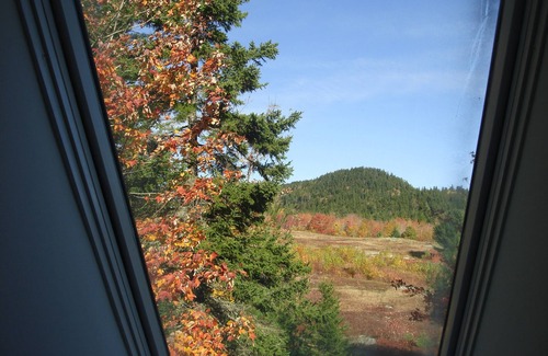 Southwest Harbor Cottage | Comfortable Cottage Overlooking Blueberry Field on Mt Desert Island