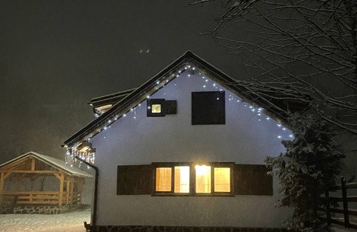 Borsa Cabin | Comfy Nature retreat in the Carpathian Mountains - Edelweiss Cabin