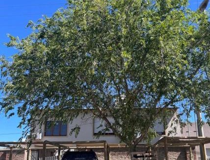 Monte Hermoso Apartment | Complejo Bosque Alegre