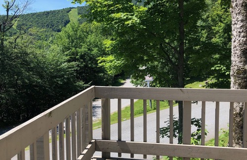Warren Condo | Condo at Sugarbush/Lincoln Peak - Close to the Mountain!