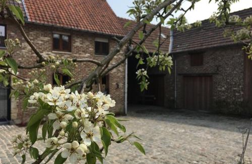 Borsbeke House | Constantinus