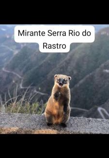 Sideropolis House | Container Bem-te-Vi!