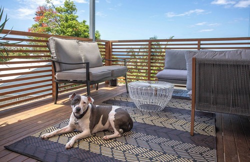 Coledale House | Contemporary beach house in Coledale. Ocean & Escarpment views. Pet friendly.