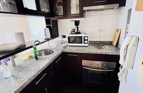 Downtown Santiago Apartment | Convenient and Bright Bellas Artes apartment
