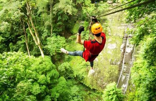 Haliyal House | Coorg Tusker