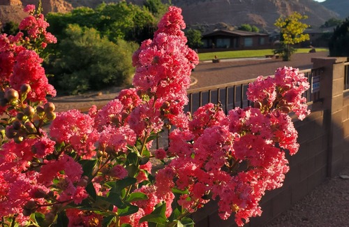 Kanab House | Coral Cliff View is a home nestled in the amazing vistas of Kanabs Toms Canyon.