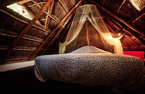 Macario Gomez Cabin | Corazón de Selva