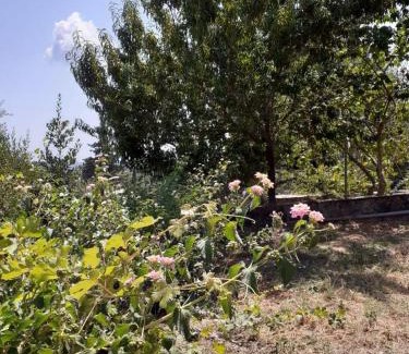 Kato Korakiana House | Corfu Cosy Apartment by the Nature