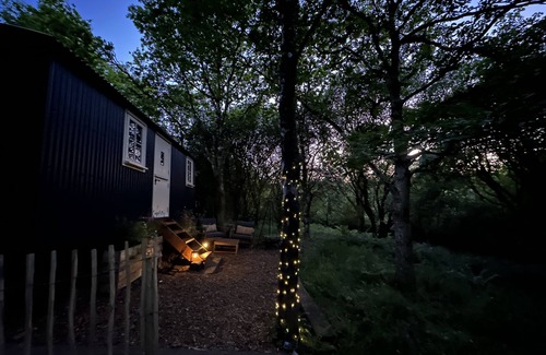Lanivet Cabin | Cornwall Woodland Dog Friendly Shepherd's Hut