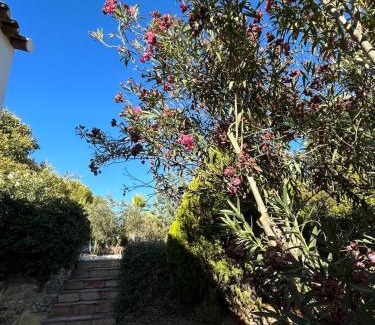Algodonales Ski Chalet | Cortijo Burruelo