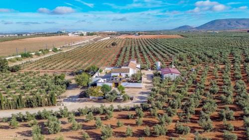 Fuente de Piedra House | Cortijo del Coco 1 Fuente de Piedra by Ruralidays