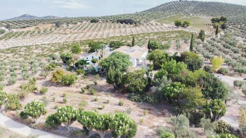 Cabra House | Cortijo Don Simón