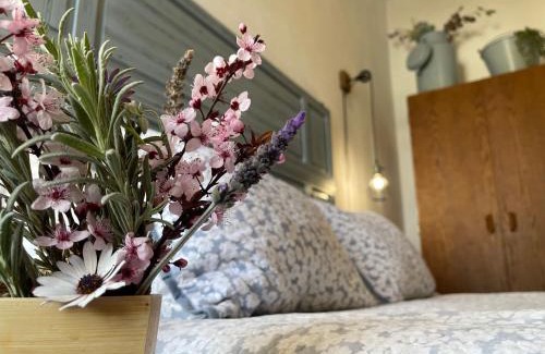 Alanis House | Cortijo Huerta Galindo