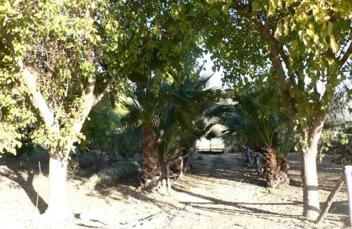 Canete la Real House | Cortijo la Colá