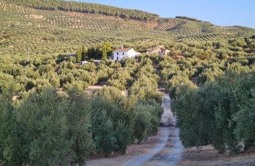 Alcaudete House | Cortijo Las Rodrigas