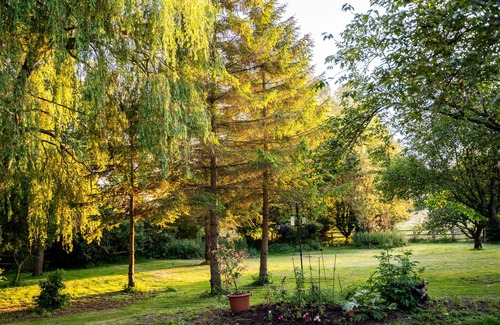 Homersfield Apartment | Cosy 2-bed apartment near Haleston.nPet-Friendly!