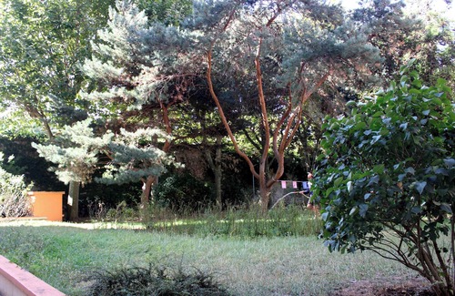 L'Ile-Saint-Denis Apartment | Cosy apartment just outside Paris