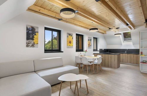 Janov nad Nisou Apartment | Cosy apartment for 6 people with WIFI, TV, terrace and parking