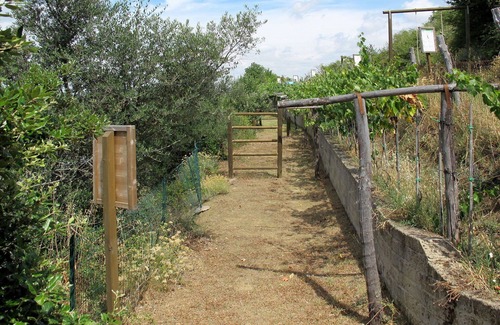 Paciano Villa | Cosy apartment in villa for 6 people with WIFI, pool, TV, terrace and pets allowed