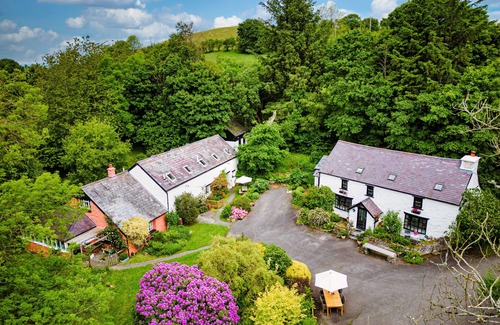 Bontnewydd Cottage | Cosy Barn Cottage nestled in a Nature Haven