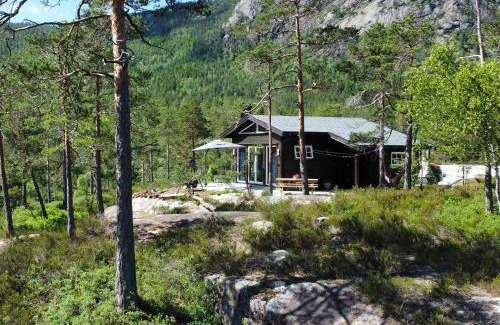 Treungen Ski Chalet | Cosy cabin between lake and mountain