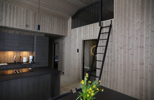 Aseral Apartment | Cosy cottage in quiet surroundings in the southern Norwegian mountains