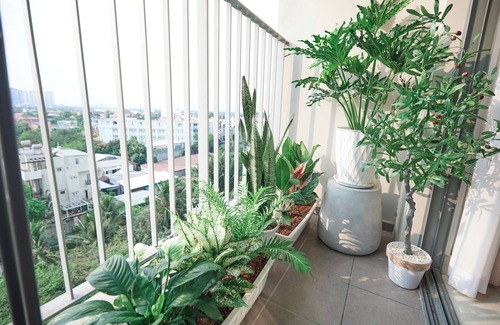 Thu Duc Apartment | Cosy design apartment with profesional hospitality service.