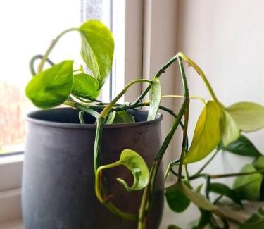 Narvik Apartment | Cosy Holiday Apt Close to Gondola and Town Center