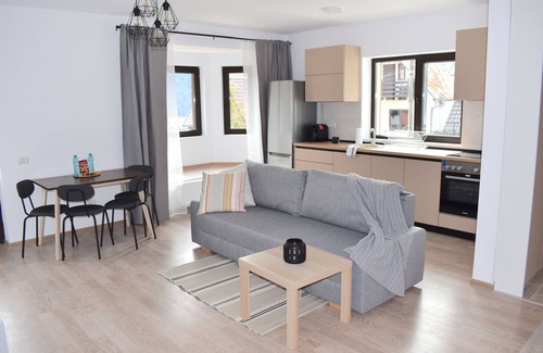 Sinaia Apartment | Cosy & Minimalistic 1 BDR Apartment 2 - Haret Building - near Peles Castle