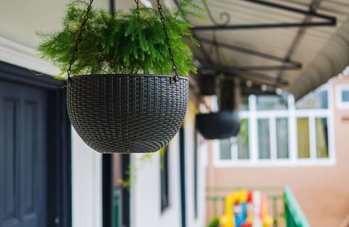 Noord Apartment | Cosy & Quirky Wolf Apartment