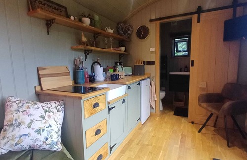 Alton Cabin | Cosy Shepherd's Hut with use of Hot Tub and Heated Pool - Double with ensuite